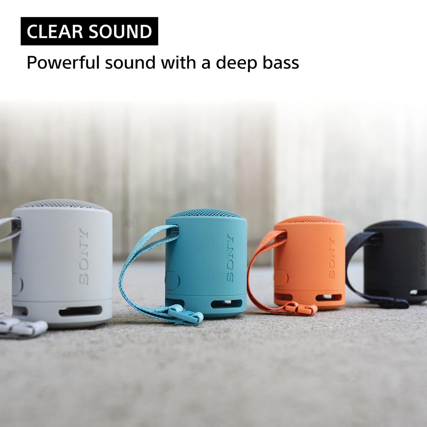 Sony SRS-XB100 Wireless Speaker