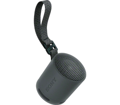 Sony SRS-XB100 Wireless Speaker