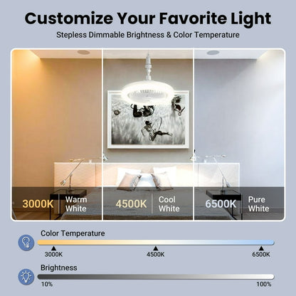 Airoluxe™ - Smart Ceiling Light Fan