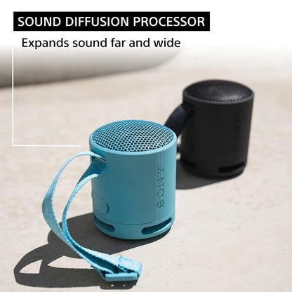 Sony SRS-XB100 Wireless Speaker