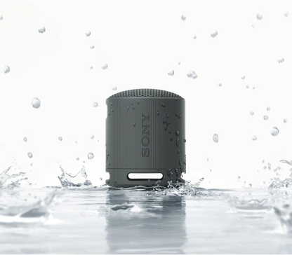 Sony SRS-XB100 Wireless Speaker