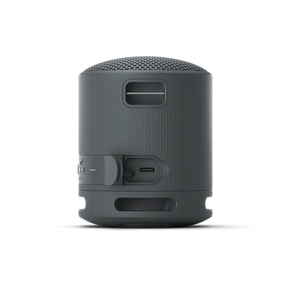 Sony SRS-XB100 Wireless Speaker