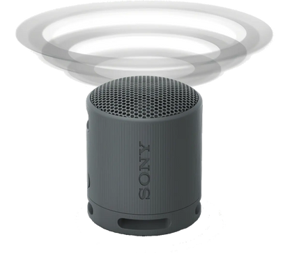 Sony SRS-XB100 Wireless Speaker