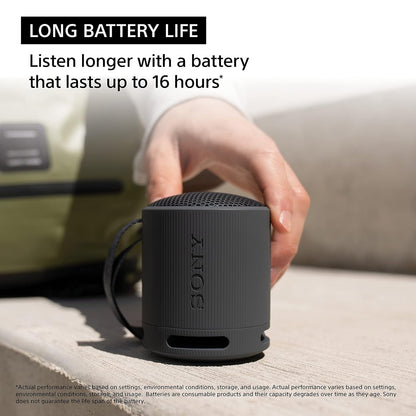 Sony SRS-XB100 Wireless Speaker