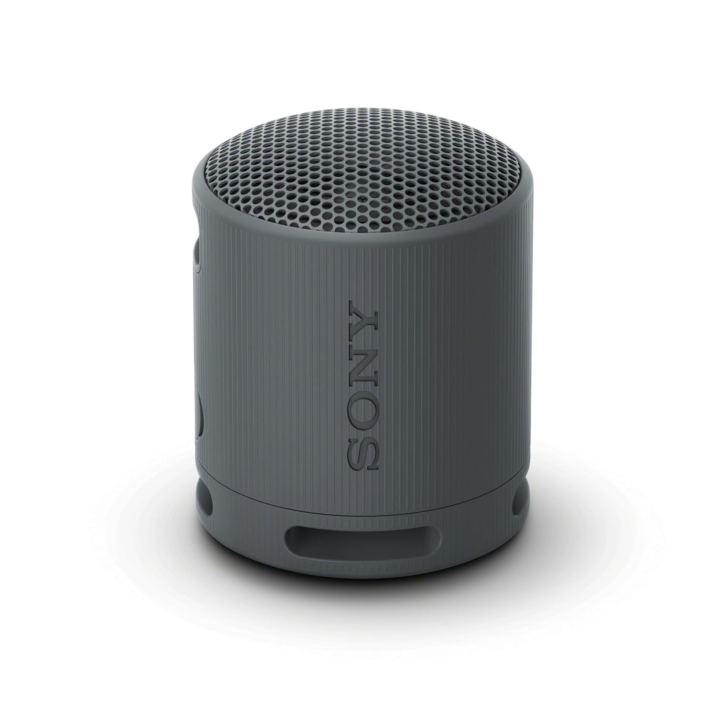 Sony SRS-XB100 Wireless Speaker