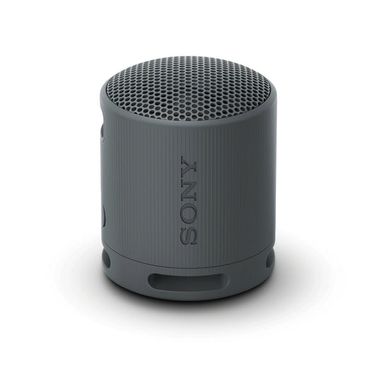 Sony SRS-XB100 Wireless Speaker
